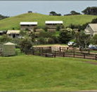 Ace Hi Riding Ranch - Accommodation Adelaide
