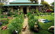 Campbell Homestead - thumb 0