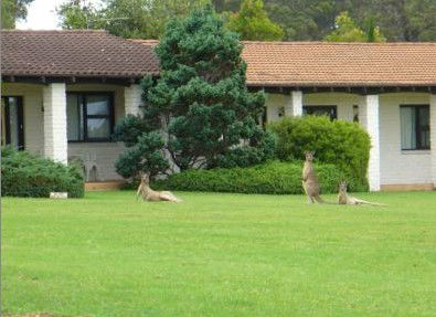 The Oaks Ranch & Country Club - Accommodation Adelaide 1
