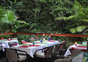 Daintree Rainforest Retreat Motel - Accommodation Adelaide 1