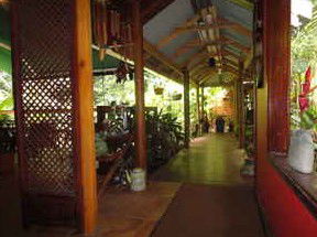 Daintree Rainforest Retreat Motel - Accommodation Adelaide 2