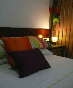 Daintree Rainforest Retreat Motel - Accommodation Adelaide 3