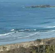 Beach Haven Apartments - Accommodation Adelaide