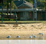 Best Western Coastal Waters Motor Inn - Accommodation Adelaide