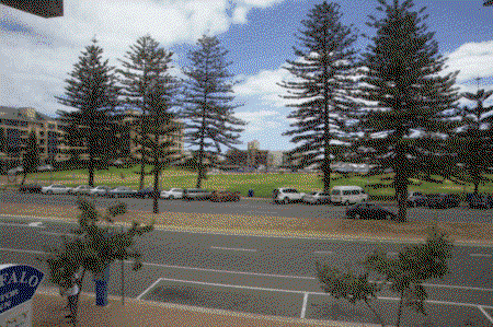 Buffalo Motor Inn - Accommodation Adelaide 3