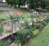 Kintail Homestay - Accommodation Adelaide