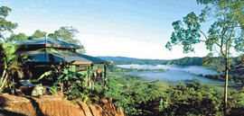 Daintree Cloud 9 - Accommodation Adelaide 1