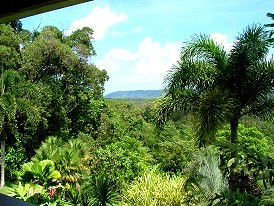 Daintree Manor - Accommodation Adelaide 3