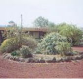 Beaufort Motel - Accommodation Adelaide