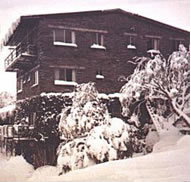 Elk at Falls - Accommodation Adelaide