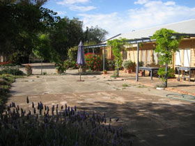 Peechabella Vineyards Bed & Breakfast - Accommodation Adelaide 0