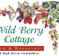 Wild Berry Cottage - Accommodation Adelaide