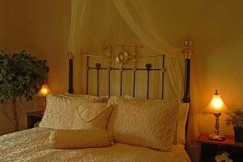 Citrus Cottage - Accommodation Adelaide 2