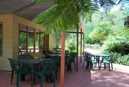 Rainforest Retreat - Accommodation Adelaide 1