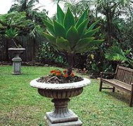 Bangalow Retreat - Accommodation Adelaide