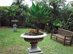Bangalow Retreat - Accommodation Adelaide 0