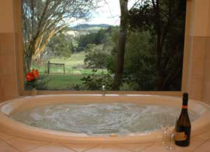 Adelaide Hills Country Cottages - The Nest - Accommodation Adelaide 0
