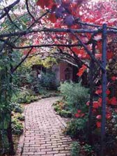Adelaide Hills Country Cottages - The Nest - Accommodation Adelaide 2