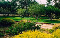 Naracoorte Cottages - Pinkerton Hill - Accommodation Adelaide 2