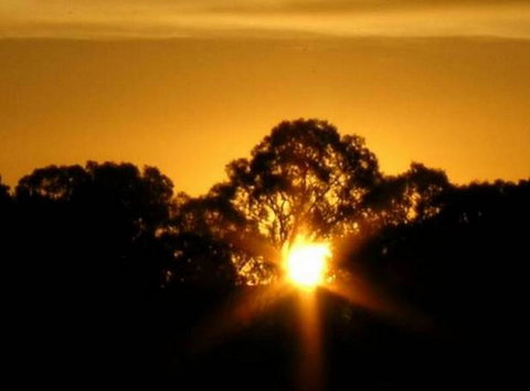 Linfield Cottage - Accommodation Adelaide 1