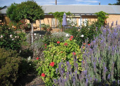 Peechabella Vineyards Bed & Breakfast - Accommodation Adelaide 3