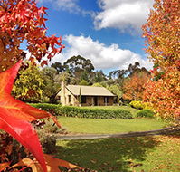 Adelaide Hills Country Cottages - Lavender Fields - Accommodation Adelaide