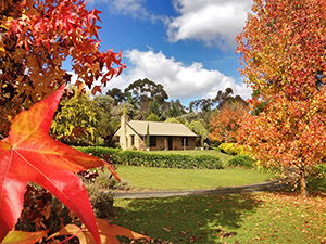 Adelaide Hills Country Cottages - Lavender Fields - Accommodation Adelaide 0
