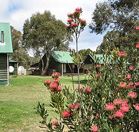 Derwent Bridge Chalets and Studios - Accommodation Adelaide