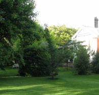 Oakdene Heritage Accommodation - Accommodation Adelaide