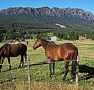 Hurlfield Farm Cottage - Accommodation Adelaide