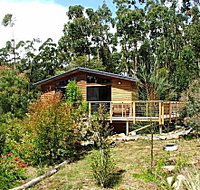 Southern Forest Accommodation - Accommodation Adelaide