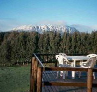 White Hawk Accommodation - Accommodation Adelaide