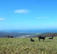 St Marys Seaview Farm - Accommodation Adelaide