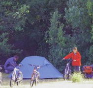 Maria Island Camping Ground - Accommodation Adelaide