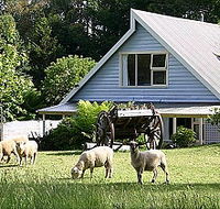 Hide-Away Cottage Retreat - Accommodation Adelaide