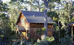 Cradle Mountain Highlanders - Accommodation Adelaide 1