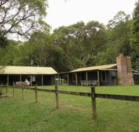 Tree Fern Lodge - Accommodation Adelaide
