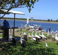 Mountain View Caravan and Mobile Home Village - Accommodation Adelaide