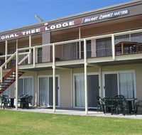 Coral Tree Lodge Tourist Park - Accommodation Adelaide