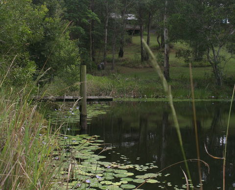 Maleny Country Cottages - Accommodation Adelaide 4
