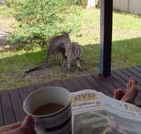 Bush and Bay Cottage - Accommodation Adelaide
