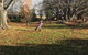 Glenelm Guest Cottage - thumb 2