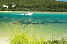 Wooli Camping and Caravan Park - Accommodation Adelaide