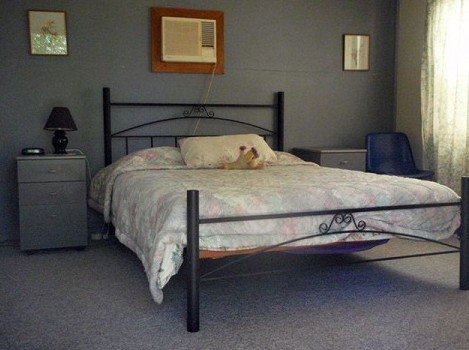 Comeroo Camel Station - Accommodation Adelaide 0