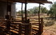 Redbank Homestead - Gundabooka National Park - thumb 5