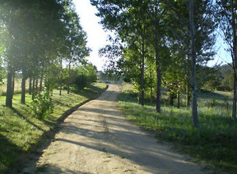 Mia Creek Bed And Breakfast - Accommodation Adelaide 0