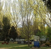 Snowy River Holiday Park - Accommodation Adelaide