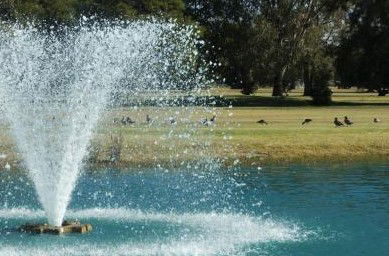 Howlong Country Golf Club & Motel - Accommodation Adelaide 5
