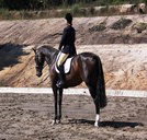 Apptrak Stud - Accommodation Adelaide