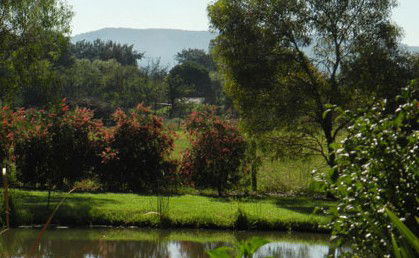 Amazing Country Escapes - Evanslea By The River - Accommodation Adelaide 4